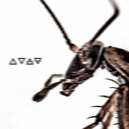 Opus 1 cover art