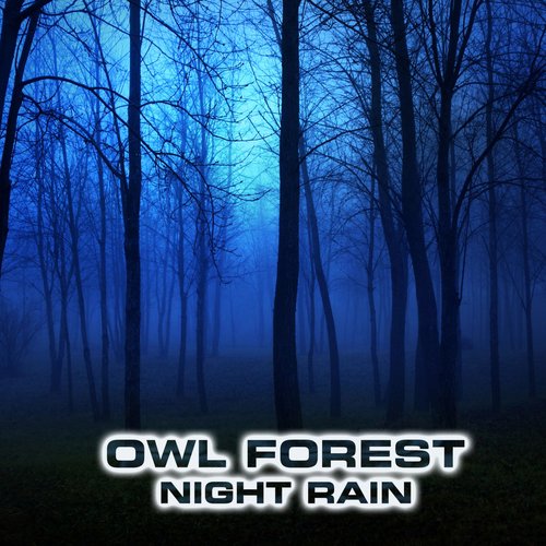 Owl Forest Sounds (feat. Atmospheres Sounds, Calming Nature Sound FX, Forest Nature Sounds, Rain Atmosphere Sounds, Forest Atmosphere Sounds & Nature Sounds 3D) cover art