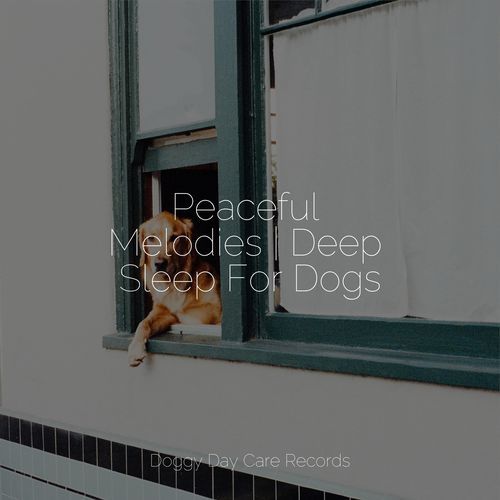 Peaceful Melodies | Deep Sleep For Dogs_poster_image