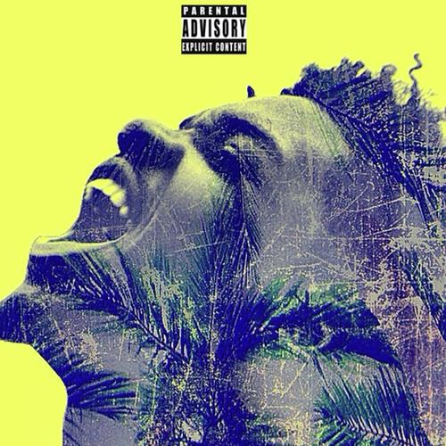 Lyricless Aquatic Interlude cover art
