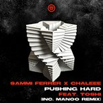Pushing Hard (Main Mix)