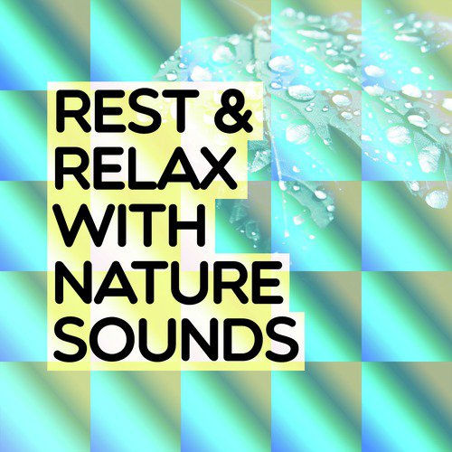 Rest & Relax with Nature Sounds
