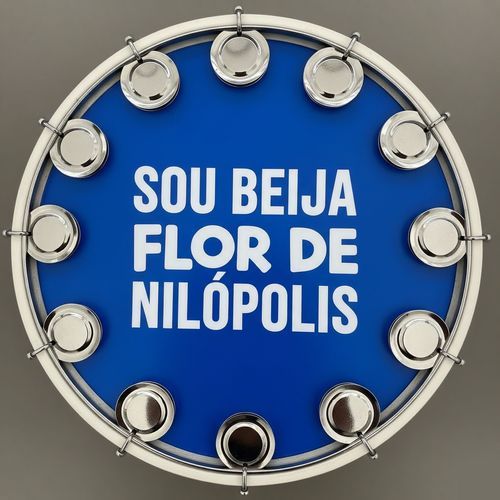 SOU BEIJA FLOR DE NILÓPOLIS cover art