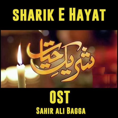 Shareek e Hayat OST_poster_image