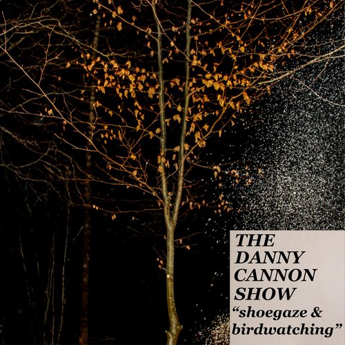 Shoegaze and Birdwatching cover art