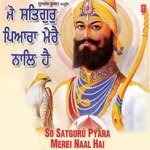So Satguru Pyara Merei Naal Hai Vol-6