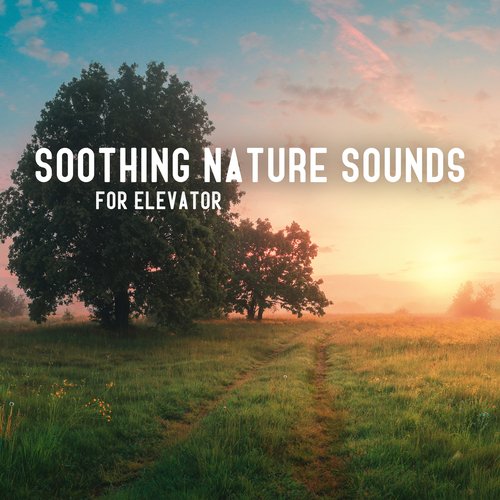 Hypnotic Music Therapy cover art
