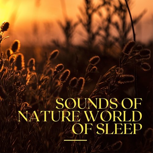 Sounds of Nature World of Sleep_poster_image