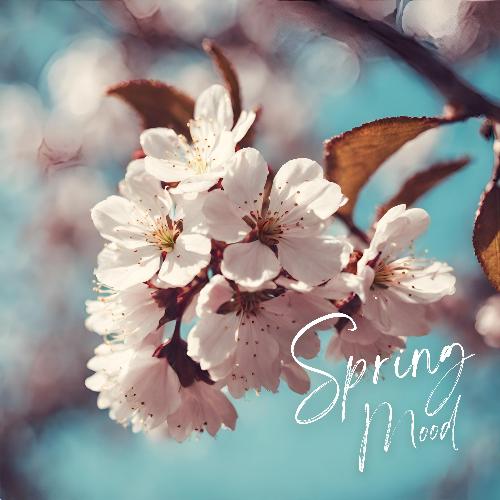 Spring Mood_poster_image