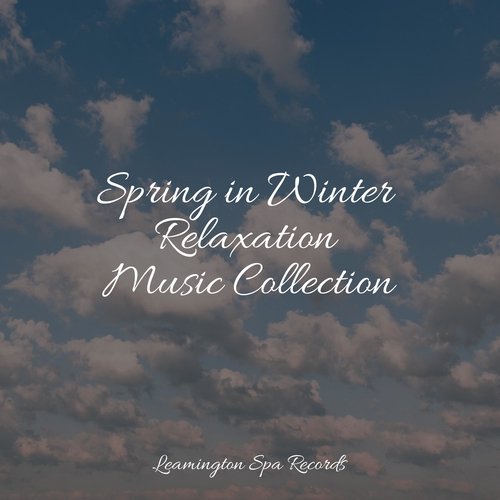 Sleep Music cover art