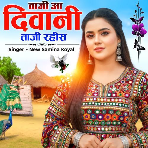 Taji Aa Diwani Taji Rahis