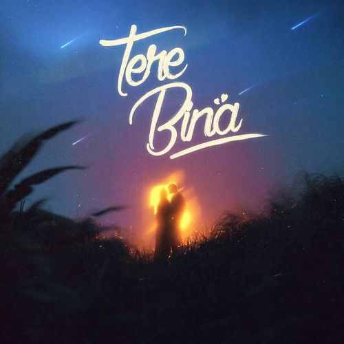 Tere Bina
