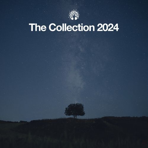 Roister (Hector Toledo Remix) cover art