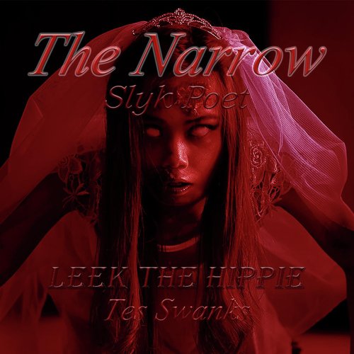 The Narrow (feat. Leek the Hippie & Tes Swanks) cover art