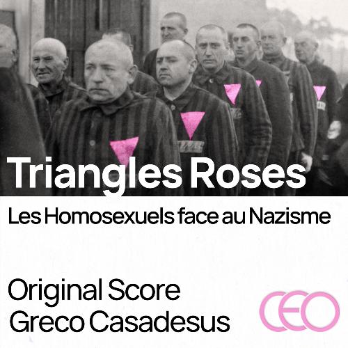 Triangles Roses - Les Homosexuels Face au Nazisme_poster_image