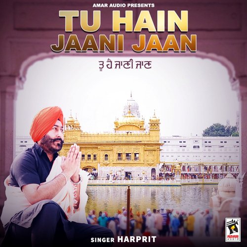 Tu Hain Jaani Jaan_poster_image