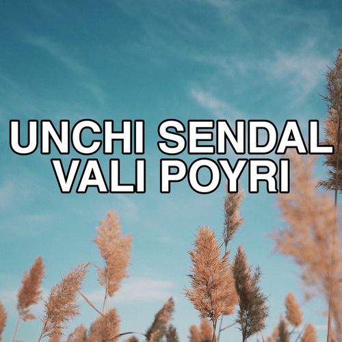 Unchi Sendal Vali Poyri