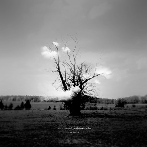 Wolfman's Dream (Yotam Avni Remix) cover art