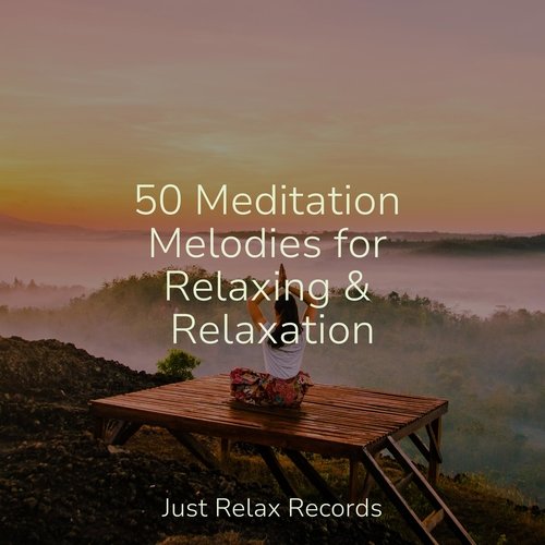 50 Meditation Melodies for Relaxing & Relaxation