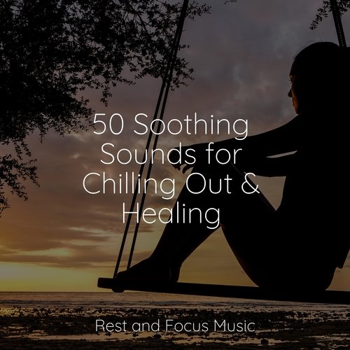 50 Soothing Sounds for Chilling Out &amp; Healing_poster_image