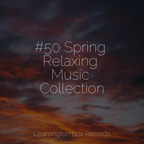 #50 Spring Relaxing Music Collection_poster_image