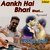 Aankh Hai Bhari Bhari - Recreated