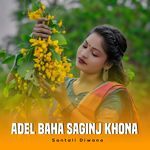 Adel Baha Saginj Khona