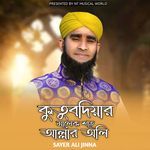 কুতুবদিয়ার মালেক শাহ