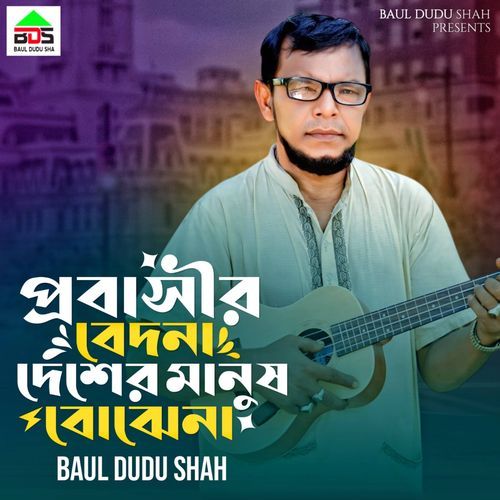 প্রবাসীর বেদনা দেশের মানুষ বুজে না