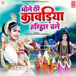 Bhole Tere Kawadiya Haridwar Chale