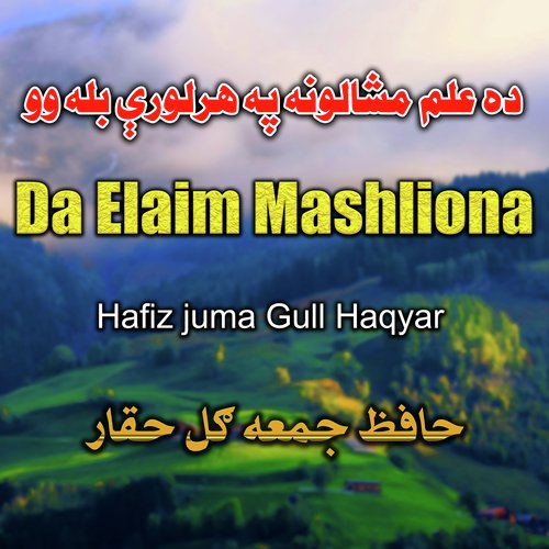 Da Elaim Mashliona