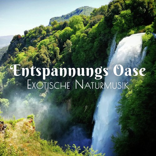 Entspannungs Oase (Exotische Naturmusik für tiefe Entspannung, tropisches Spa und Wellness, Vögel, Meer, wilde Tiere)