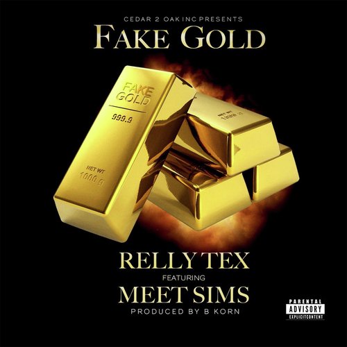 Fake Gold (feat. Meet Sims)_poster_image