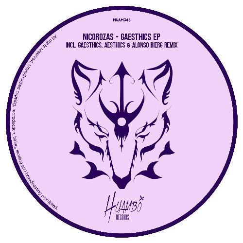 Gaesthics (Alonso Bierg Remix) cover art