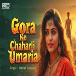 Gora Ke Chaharli Umaria