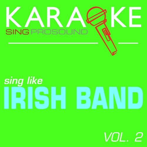 Karaoke in the Style of Irish Band, Vol. 2