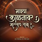 Majhya Kaljavar Marlay Taba Ra (Dj Vishal In The Mix)