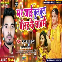 Mar Jai Bulbul Virah Ke Ghawme (Bhojpuri Song)-Mh89YgBCWkQ