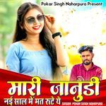 Mari Janudi Nai Sal Me Mat Rute Ye