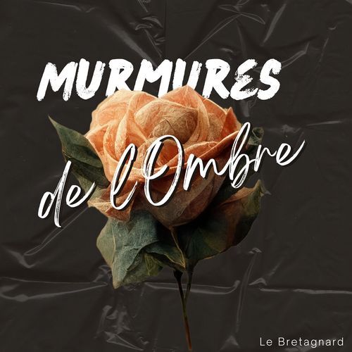 Le son de l'ombre cover art