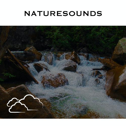 NATURESOUNDS