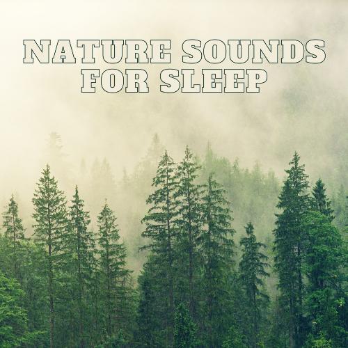 Nature Sounds ASMR cover art