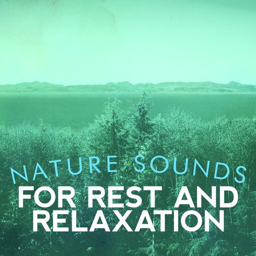 Nature Sounds for Rest and Relaxation
