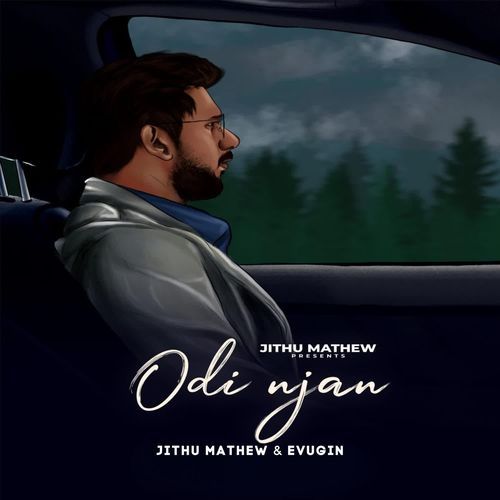 Odi Njan