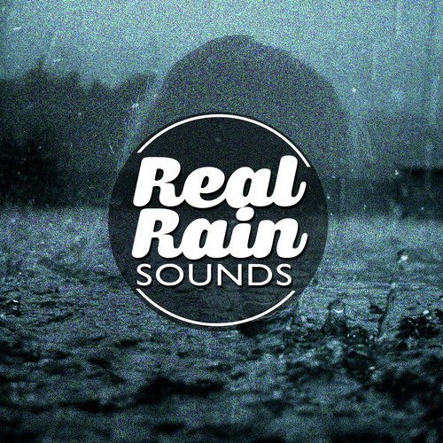 Real Rain Sounds