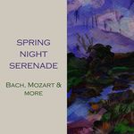 Vivaldi: Concerto for 2 Trumpets, Strings and Continuo in C Major, R.537: II. Largo
