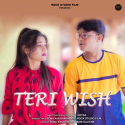 Teri Wish (feat. Ankit Gotka)-IFgcXTsBXgc