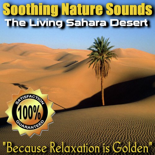 The Living Sahara Desert_poster_image