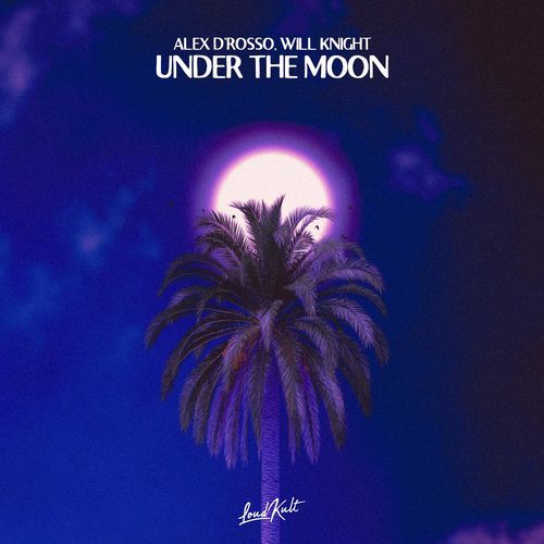 Under The Moon