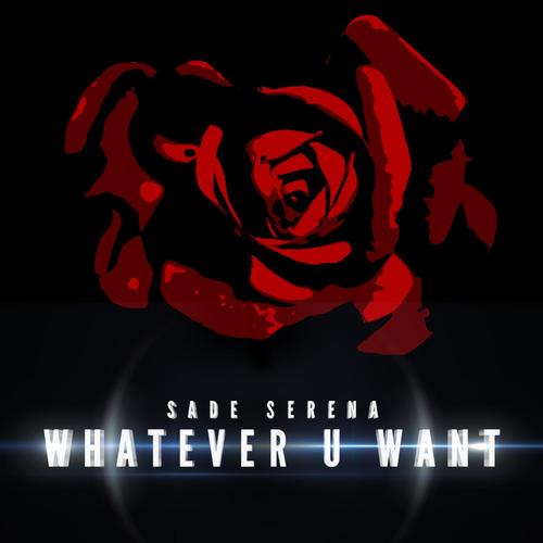 Whatever U Want_poster_image